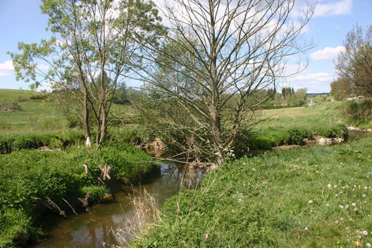 - Amel bei Deidenberg -