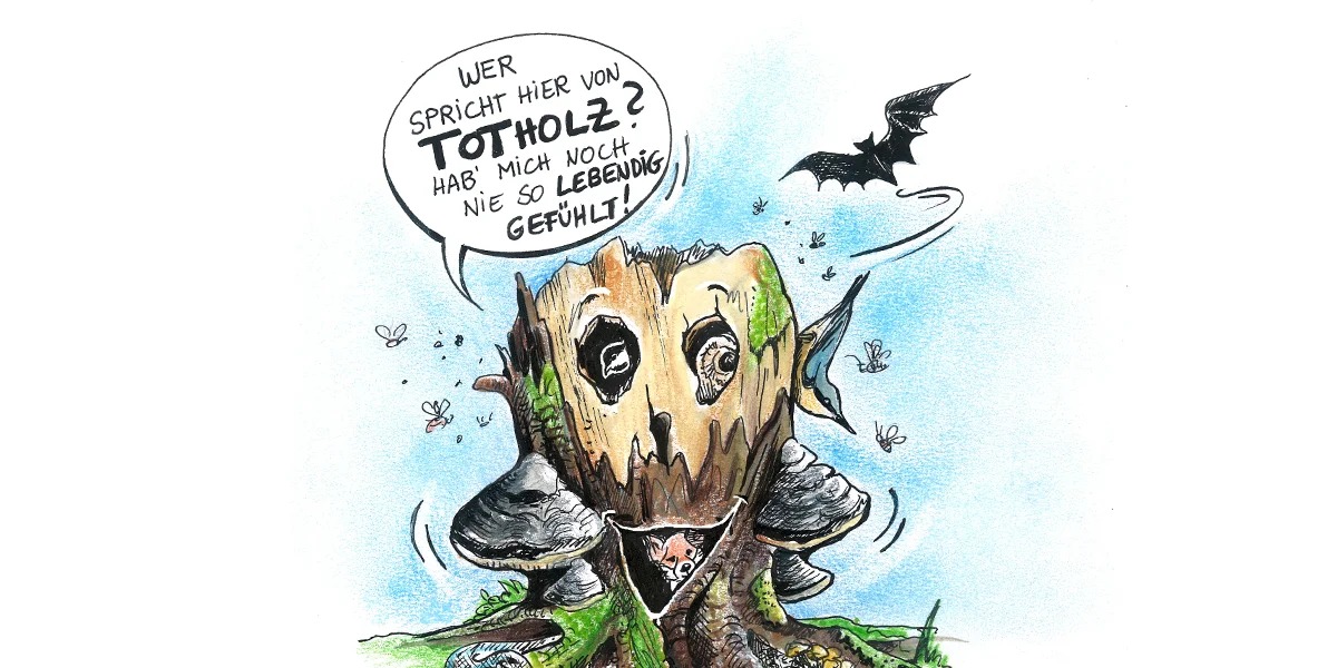 AVES Ostkantone VoG